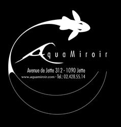 Aquamiroir, Jette openingstijden