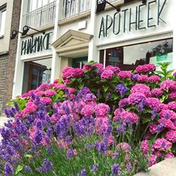 Pharmacie de Sylva SPRL, Jette openingstijden