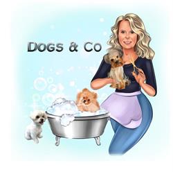 Dogs & Co, Middelkerke openingstijden