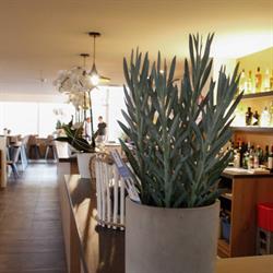 Ruiterhof Bredene, openingstijden