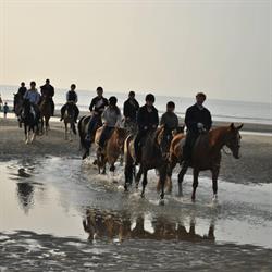 Manege Sanders, Zuienkerke openingstijden