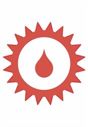 Aorta+ bv, Gent openingstijden