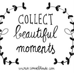 Argos - Becassine, Koksijde openingstijden
