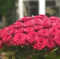 Fleurs Baccara, Dour openingstijden