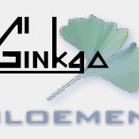 Bloemen Ginkgo, Denderleeuw openingstijden