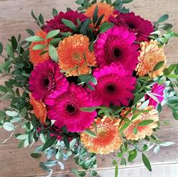 Bloemen Greenhouse, Kortrijk openingstijden
