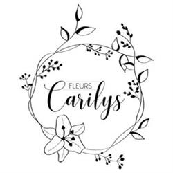 Carilys, La Louvière openingstijden