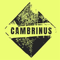 Cambrinus Horeca, Hasselt openingstijden