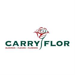 Carry Flor NV, Gistel openingstijden