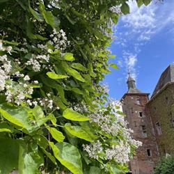 Château De Petit-leez, Grand-Leez openingstijden