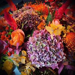 COIN FLEURI BLOEMEN, Knokke openingstijden