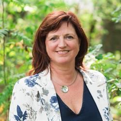 De Gouden Sterre, Bree openingstijden