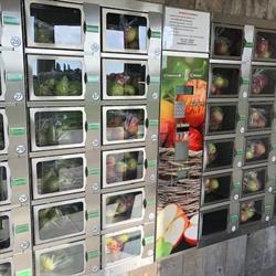 De Wilde Fruitbedrijf - Aroma Lv, Sint-Pauwels openingstijden