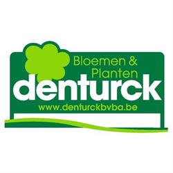 Denturck (groothandel), Houthulst openingstijden