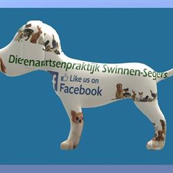 Dierenartsenpraktijk Swinnen-Segers bvba, Denderleeuw openingstijden