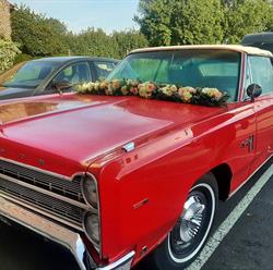 Movaert Florist bvba, Sint-Lambrechts-Woluwe openingstijden