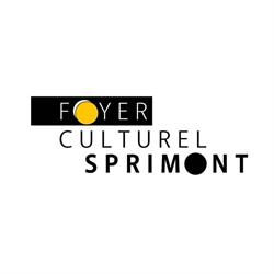 Foyer Culturel de Sprimont ASBL, openingstijden
