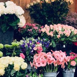 FLEURS MATHY, Waver openingstijden