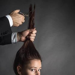 Hair We Go!, Sint-Niklaas openingstijden