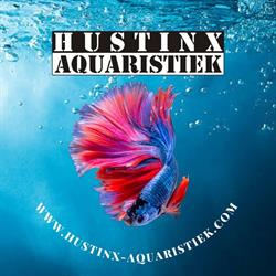 Hustinx Aquaristiek, Hasselt openingstijden