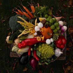 Kempisch Fruit bvba, Oud-Turnhout openingstijden