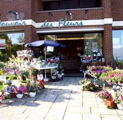 Le Pouvoir des Fleurs, Seraing openingstijden