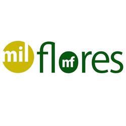Mil Flores, Sint-Martens-Latem openingstijden