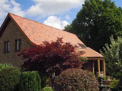 Mulders/Roger, Meeuwen-Gruitrode openingstijden