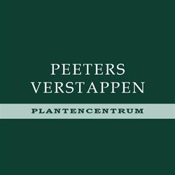 Peeters-Verstappen, Westerlo openingstijden