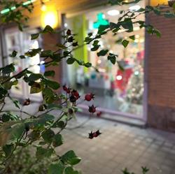 Pharmacie Florair SRL, Jette openingstijden