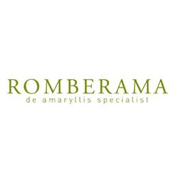Romberama - De Amaryllis Specialist, Loenhout openingstijden