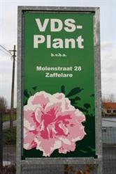 VDS-plant, Lochristi openingstijden