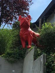 Vetcare center Falmagne Caroline - Dierenarts, Beersel openingstijden