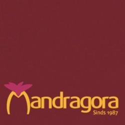 Mandragora, Antwerpen openingstijden