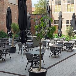 De Margriet BVBA, Mechelen openingstijden