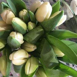 Le Relais Fleuri, Sombreffe openingstijden