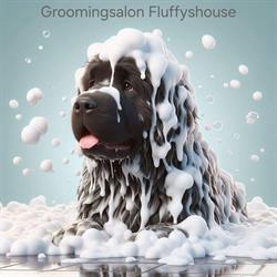 Trimsalon Fluffyshouse, Ledegem openingstijden