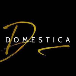 Domestica, Gent openingstijden