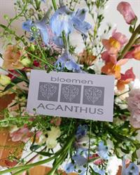 Acanthus Bloemen, Moorslede openingstijden