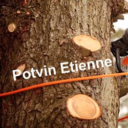 Potvin Etienne - Abattage et élagage d'arbres, Bergen openingstijden