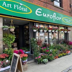 Euroflor, Tubeke openingstijden