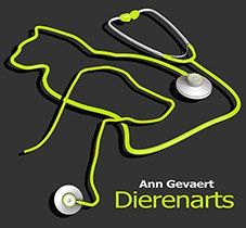 Gevaert/Ann, Tielt openingstijden
