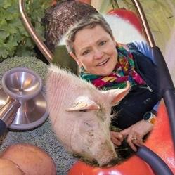 Moons/Anne, Hulshout openingstijden