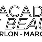 Académie des Beaux-Arts d Arlon, openingstijden