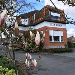 Wilson Villa, Geraardsbergen openingstijden