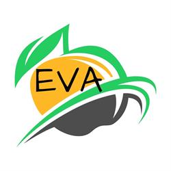 Eva (Schoonheidsinstituut), Lichtervelde openingstijden