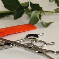 Hairstudio Ronny, Maaseik openingstijden