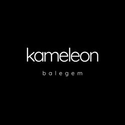 Kameleon bvba, Balegem openingstijden