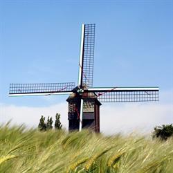 Vandooren Erik, Tongeren openingstijden