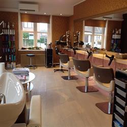 Trend, Meerhout openingstijden